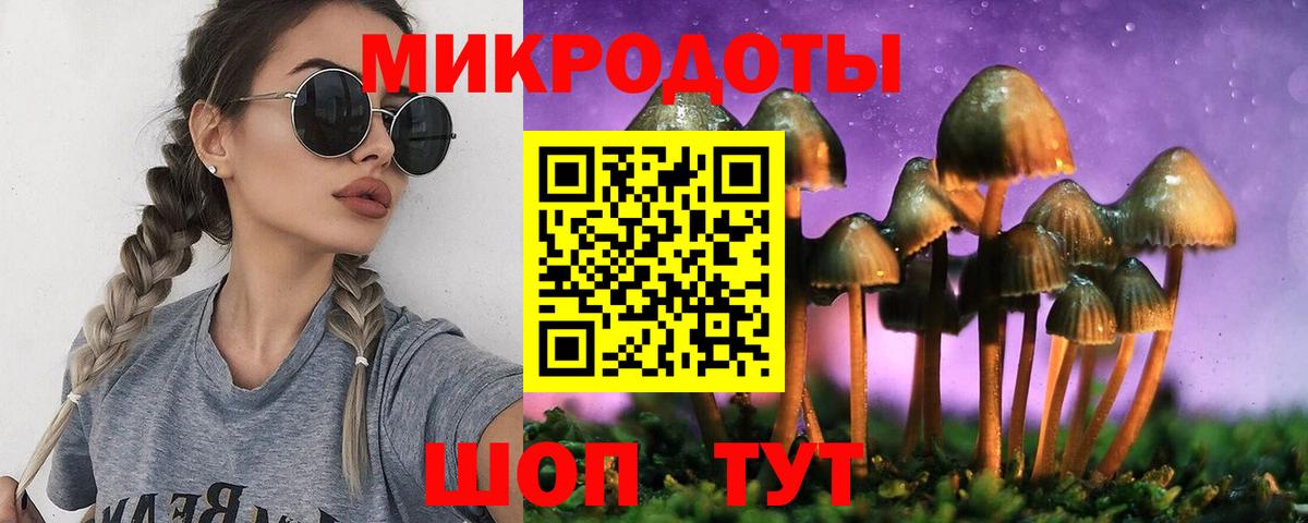 Волгоград  Галлюциногенные грибы мухоморы  Вход с VPN  Псилоцибиновые грибы MAGIC MUSHROOMS 